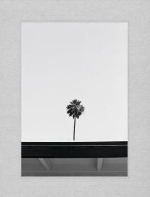 Palm
