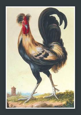 Carnet Lignï¿½, Coq