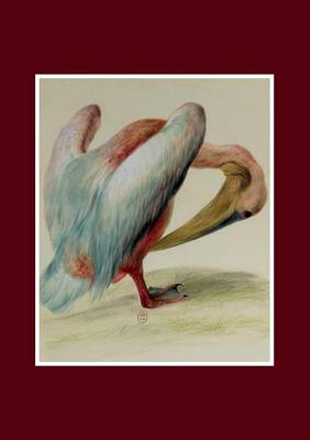 Carnet Lignï¿½, Pï¿½lican