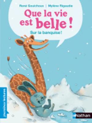 Que la vie est belle...Sur la banquise!
