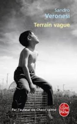 Terrain Vague