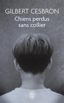 Chiens perdus sans collier