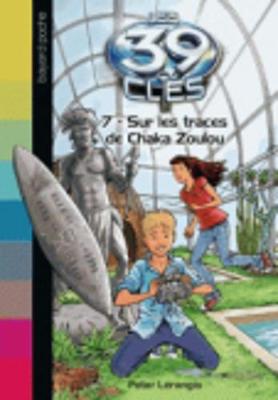 Sur les traces de Chaka Zoulou