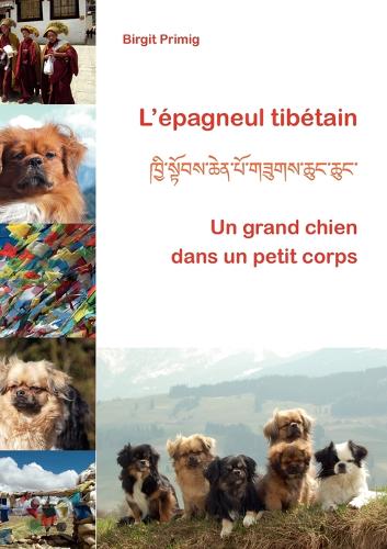 L'epagneul tibetain