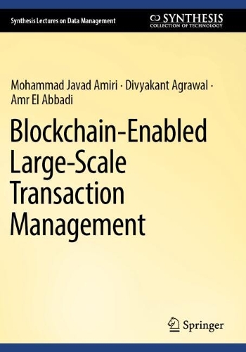 Blockchain-Enabled Large-Scale Transaction Management
