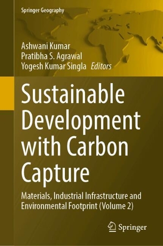 Sustainable Development with Carbon Capture