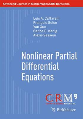 Nonlinear Partial Differential Equations