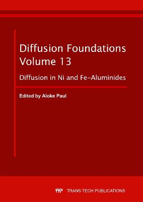 Diffusion Foundations Vol. 13