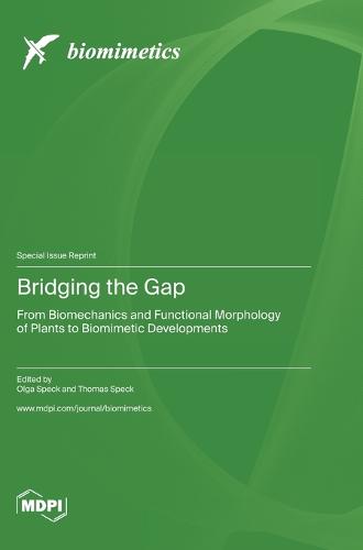 Bridging the Gap