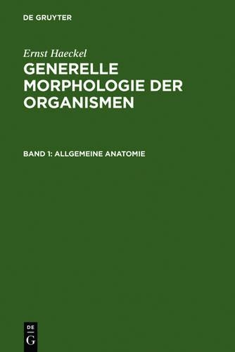 Generelle Morphologie Der Organismen