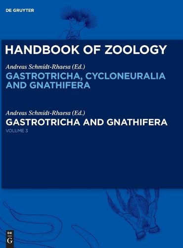 Gastrotricha and Gnathifera