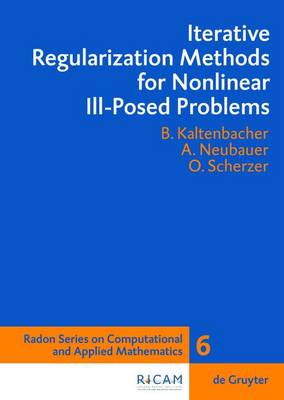Iterative Regularization Methods for Nonlinear Ill-Posed Problems