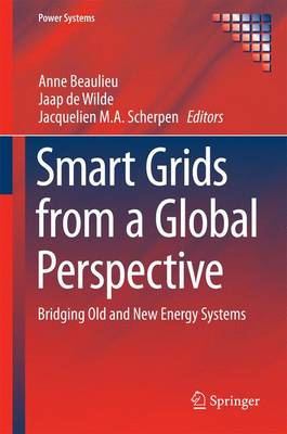Smart Grids from a Global Perspective