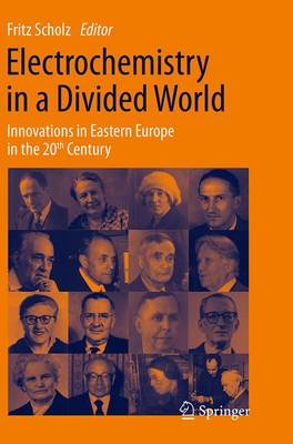 Electrochemistry in a Divided World