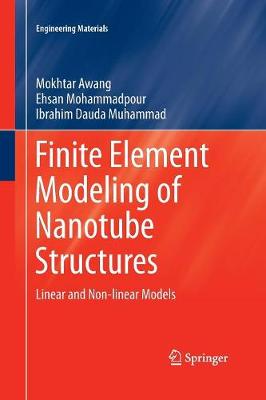 Finite Element Modeling of Nanotube Structures