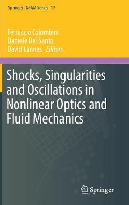 Shocks, Singularities and Oscillations in Nonlinear Optics and Fluid Mechanics