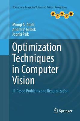 Optimization Techniques in Computer Vision