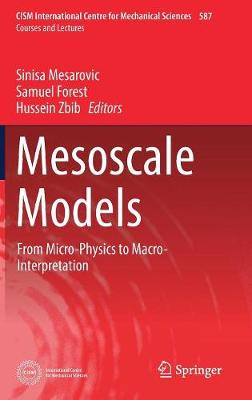 Mesoscale Models