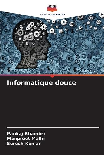 Informatique douce