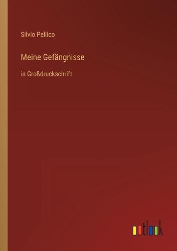 Meine Gefängnisse