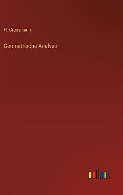 Geometrische Analyse
