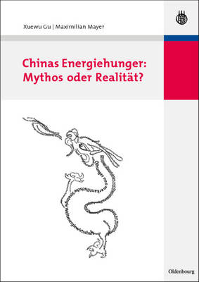 Chinas Energiehunger