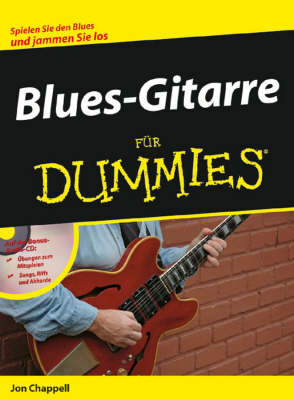 Blues Gitarre Fur Dummies