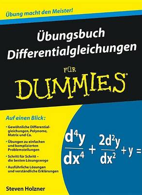 UEbungsbuch Differentialgleichungen fur Dummies