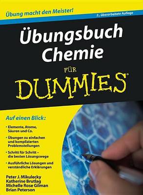 Ubungsbuch Chemie Fur Dummies