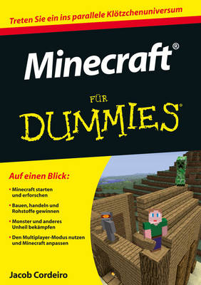 Minecraft Fur Dummies