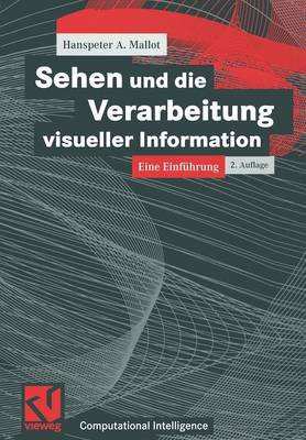 Sehen und die Verarbeitung visueller Information