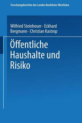 Öffentliche Haushalte und Risiko