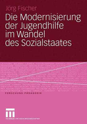 Die Modernisierung der Jugendhilfe im Wandel des Sozialstaates
