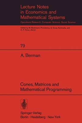 Cones, Matrices and Mathematical Programming