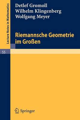 Riemannsche Geometrie im Großen