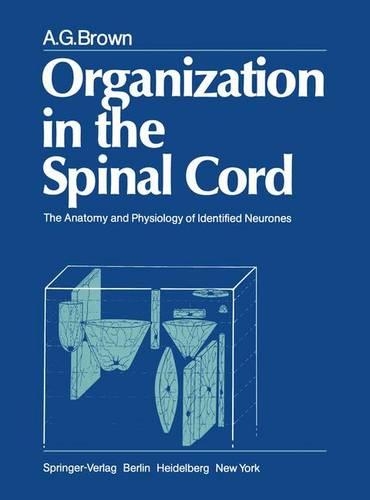 Organisation in the Spinal Cord