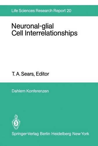 Neuronal-Glial Cell Interrelationships