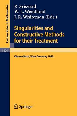 Singularities and Constructive Methods for Their Treatment