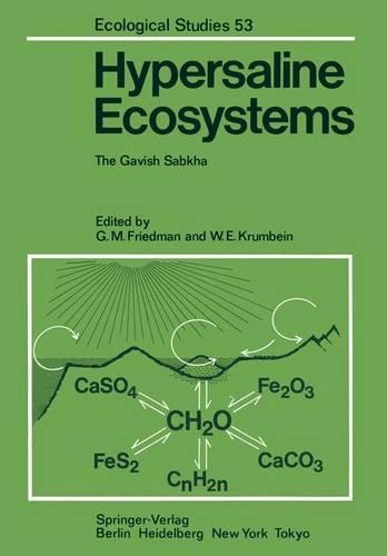 Hypersaline Ecosystems