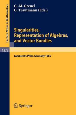 Singularities, Representation of Algebras, and Vector Bundles