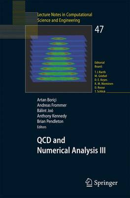 QCD and Numerical Analysis III