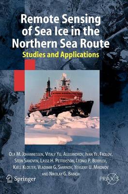 Remote Sensing of Sea Ice in the Northern Sea Route