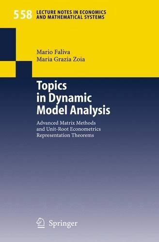 Topics in Dynamic Model Analysis