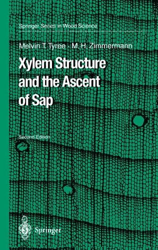 Xylem Structure and the Ascent of Sap