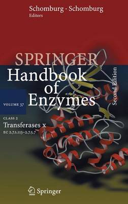 Class 2 Transferases X