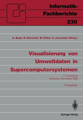 Visualisierung von Umweltdaten in Supercomputersystemen