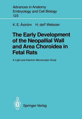 The Early Development of the Neopallial Wall and Area Choroidea in Fetal Rats