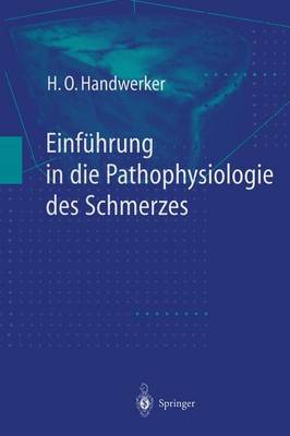 Einführung in die Pathophysiologie des Schmerzes