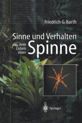 Sinne und Verhalten: aus dem Leben einer Spinne