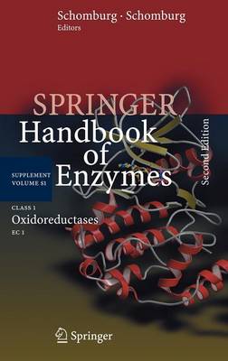 Class 1 Oxidoreductases